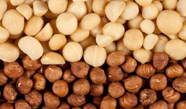 Giải Pháp VQM Cho Hạt Macca Ngăn Sâu Mọt, Duy Trì Độ Giòn