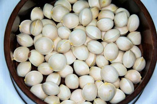 VQM Bảo Vệ Bạch Quả Khô: Ngăn Sâu Mọt Và Ẩm Mốc Trong Vận Chuyển