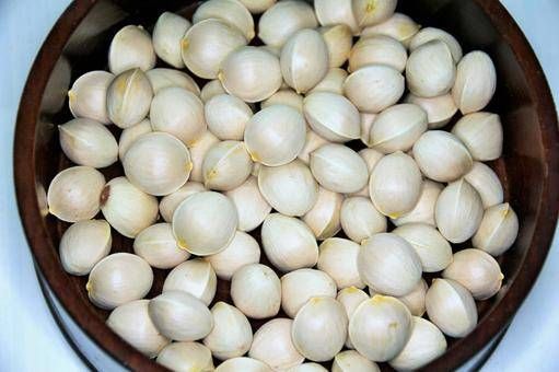 VQM Bảo Vệ Bạch Quả Khô: Ngăn Sâu Mọt Và Ẩm Mốc Trong Vận Chuyển