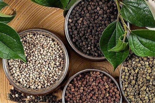 Chống Côn Trùng Và Mốc Cho Tiêu Đen Nhờ VQM