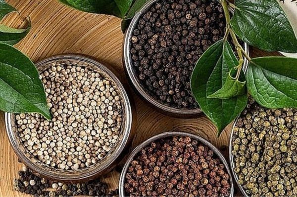 Chống Côn Trùng Và Mốc Cho Tiêu Đen Nhờ VQM