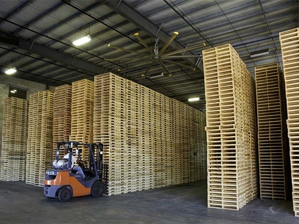 Pallet WG Cho Ngành Thực Phẩm, Điện Tử Và Công Nghiệp Nặng