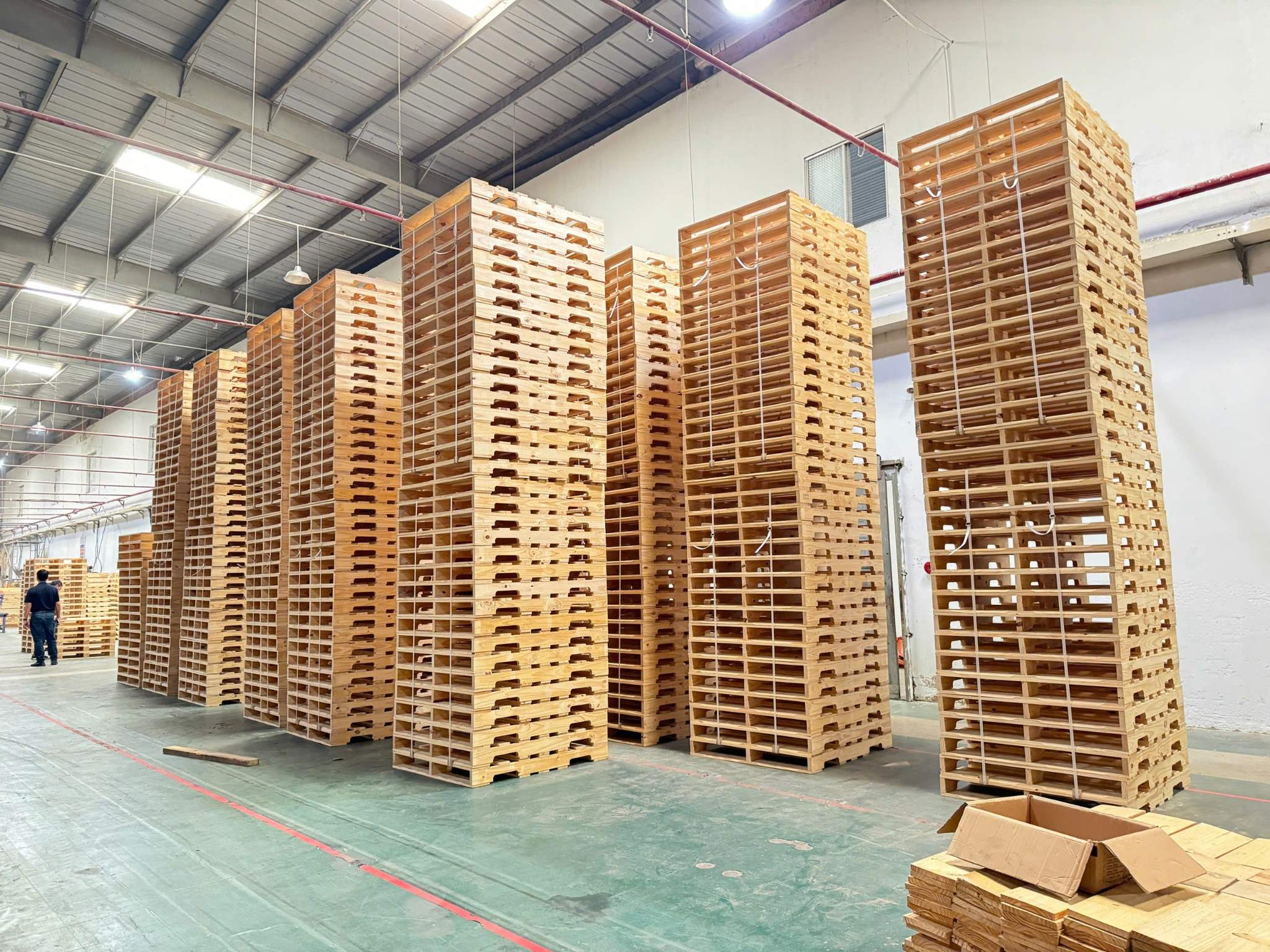Top 8 Công Ty Bán Pallet Gỗ Quảng Ninh Uy Tín, Giá Tốt