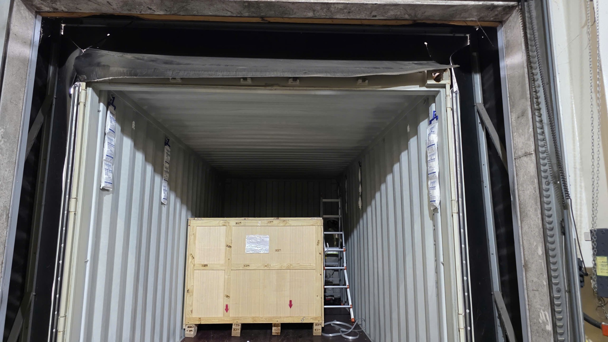 Nguyên Nhân Khiến Hàng Xuất Khẩu Bị Mốc & Cách Khắc Phục