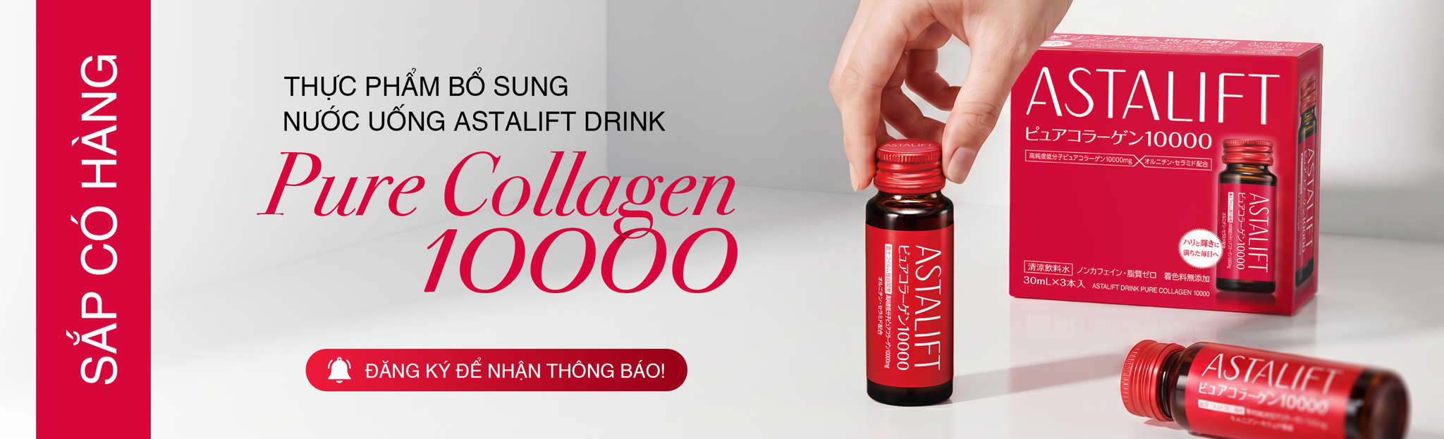 SUPPLEMENT