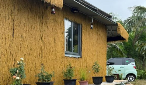 [Tây Ninh] Thảm Cỏ rơm nhân tạo làm vách và lợp mái tại Bà Đen Garden