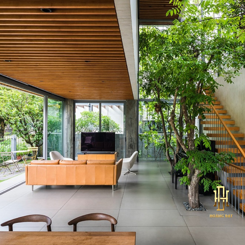 Thiết kế nội thất Hoàng Đạt