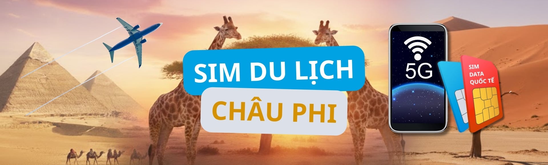 Sim Châu Phi