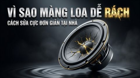 Màng Loa Bị Rách: Nguyên Nhân Và Cách Sửa Cực Đơn Giản