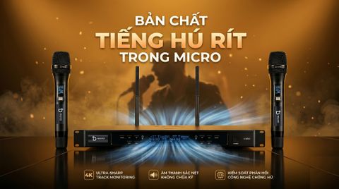 Bản Chất Tiếng Hú, Rít Trong Micro: Hiểu rõ để khắc phục cho đúng !!!
