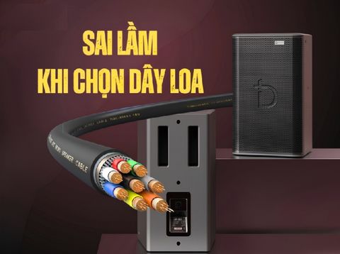 Sai Lầm Khi Chọn Dây Loa - Lỗi “Nhỏ” Nhưng “Chí Mạng”