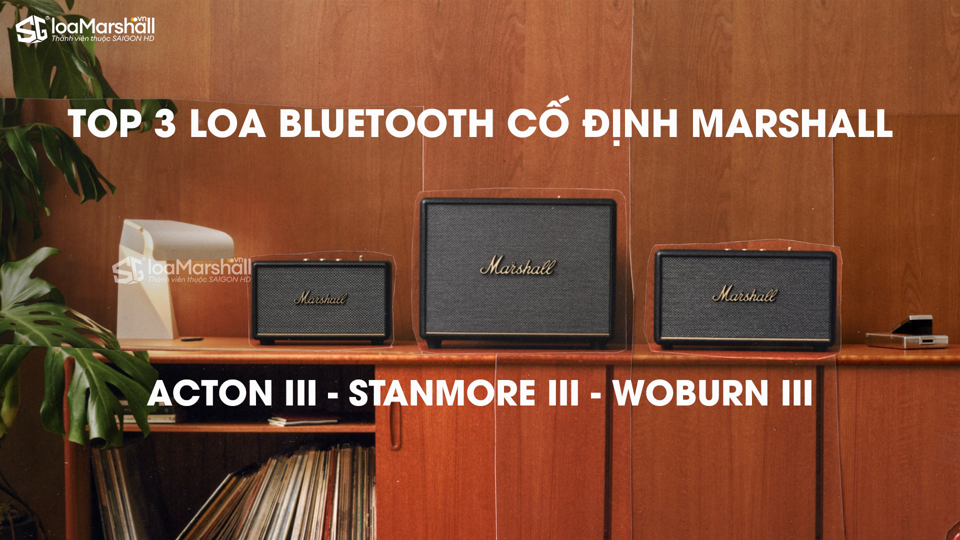Nên chọn loa Marshall Woburn III, Stanmore III hay Acton III? Đánh giá & so sánh chi tiết