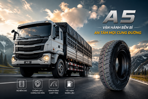 Lốp Toàn Thép Radial D822