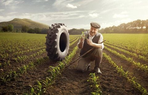 LỐP NÔNG NGHIỆP LÀ GÌ? CÁCH CHỌN LỐP PHÙ HỢP GIÚP TĂNG NĂNG SUẤT MÙA VỤ