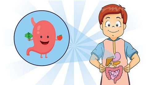 Men vi sinh là gì? Tác dụng, cách dùng và lưu ý khi sử dụng