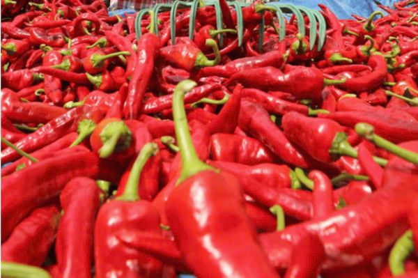 Dịch Vụ Xuất Khẩu Ớt Tươi Sang Trung Quốc Chính Ngạch
