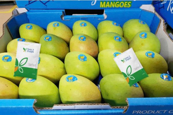 Những Quy Định Cần Biết Khi Xuất Khẩu Xoài Sang Hàn Quốc