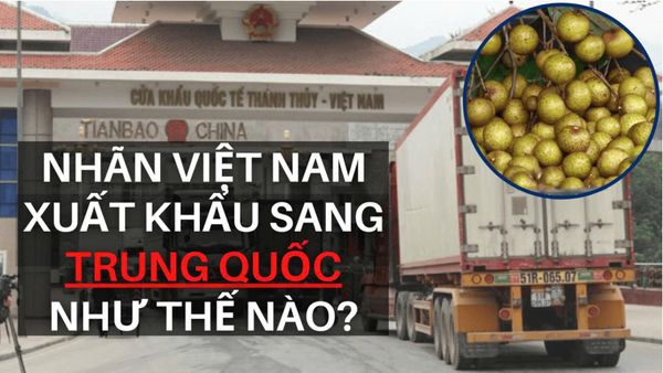 Nhãn Việt Nam Xuất Khẩu Sang Trung Quốc Như Thế Nào?