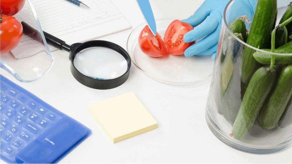 Dịch Vụ Kiểm Dịch Thực Vật Nhập Khẩu Chất Lượng, Giá Rẻ