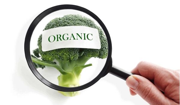 Kiểm Tra An Toàn Thực Phẩm Nhập Khẩu Là Gì? Ở Đâu?