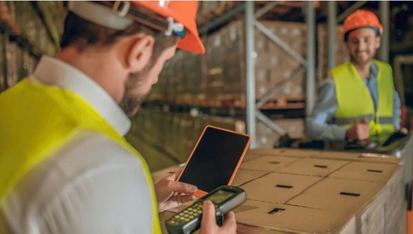 Dịch Vụ Kiểm Tra Chất Lượng Là Gì? Chi Phí Bao Nhiêu?