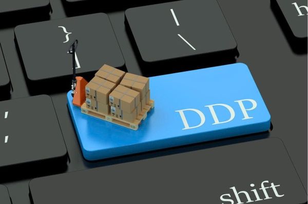 Nhập Hàng DDP Là Gì? Dịch Vụ Hỗ Trợ Nhập Khẩu DDP?