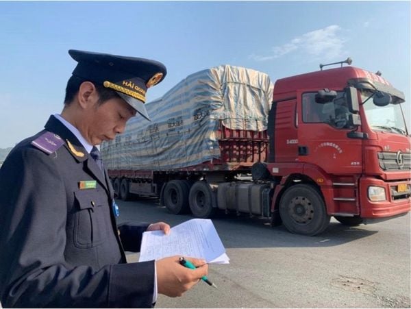 Công Ty Làm Thủ Tục Hải Quan Hàng Tạm Nhập Tái Xuất, Hỗ Trợ Từ A Đến Z