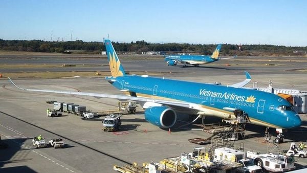 Vận Chuyển Hàng Air Mỹ – Việt Nam Qua Tất Cả Sân Bay Tại Mỹ