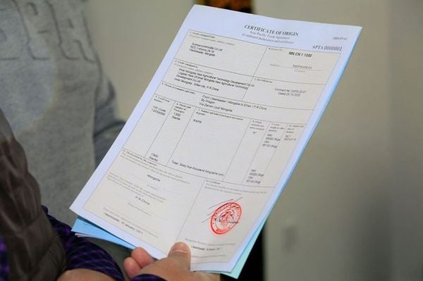 Những Sai Lầm Khi Xin C/O Khiến Mất Ưu Đãi Thuế
