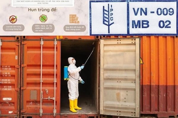 Hun Trùng Hàng Hóa Xuất Khẩu Là Gì? Hướng Dẫn Chi Tiết