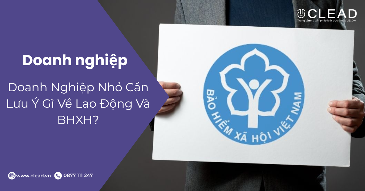 Doanh Nghiệp Nhỏ Cần Lưu Ý Gì Về Lao Động Và BHXH?