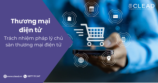 Trách nhiệm pháp lý chủ sàn thương mại điện tử