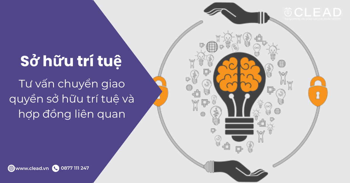Tư vấn chuyển giao quyền sở hữu trí tuệ và hợp đồng liên quan