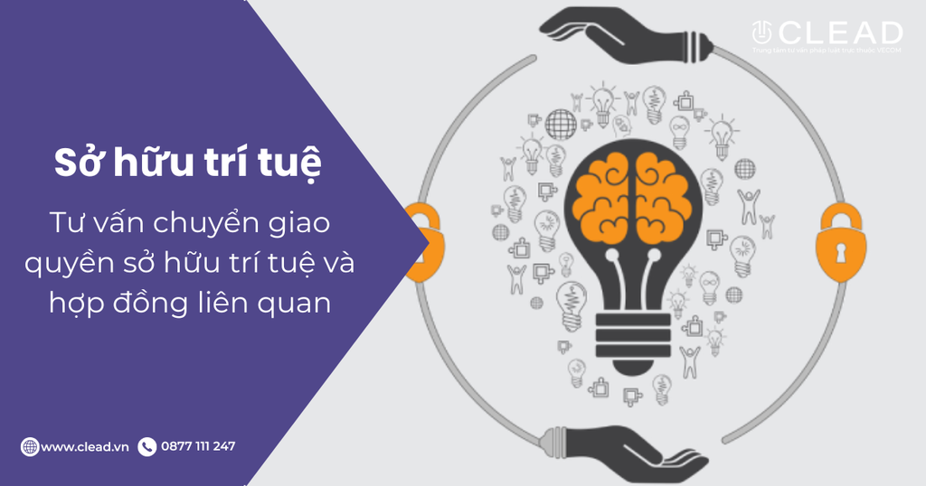 Tư vấn chuyển giao quyền sở hữu trí tuệ và hợp đồng liên quan