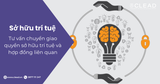 Tư vấn chuyển giao quyền sở hữu trí tuệ và hợp đồng liên quan