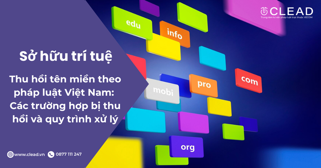 Thu hồi tên miền theo pháp luật Việt Nam: Các trường hợp bị thu hồi và quy trình xử lý