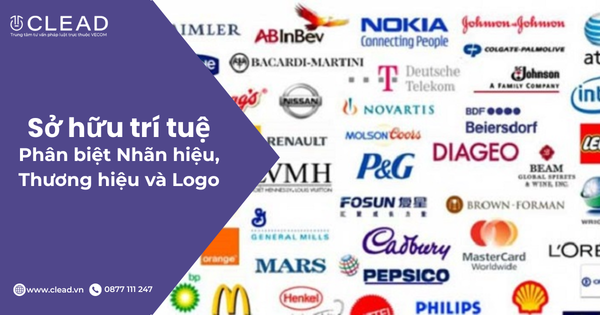 Phân biệt nhãn hiệu, thương hiệu và logo theo quy định