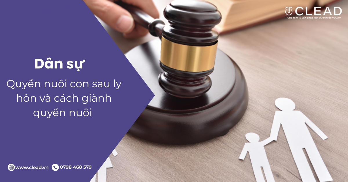 Quyền nuôi con sau ly hôn và cách giành quyền nuôi