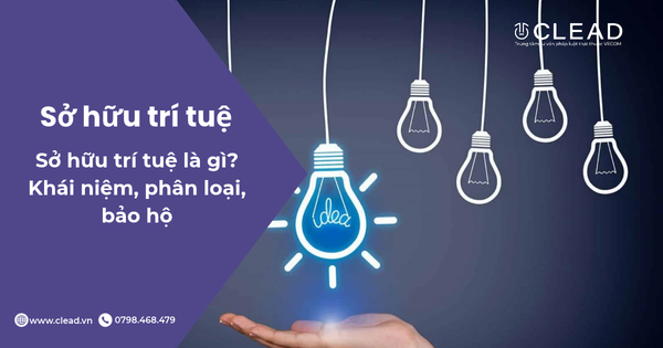 Sở hữu trí tuệ là gì? Khái niệm, phân loại, bảo hộ