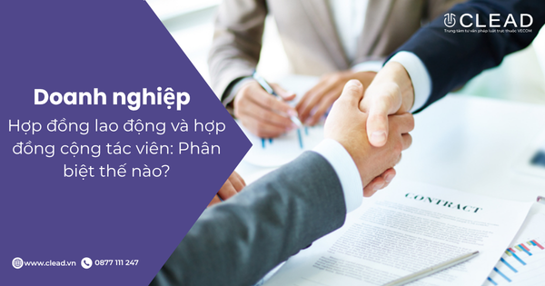 Hợp đồng lao động và hợp đồng cộng tác viên: Phân biệt thế nào?