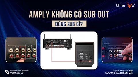 Amply Không Có Sub Out Dùng Sub Gì? Giải Pháp Tối Ưu 2026