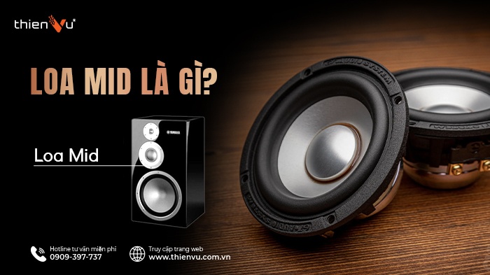 Loa Mid Là Gì? Khám Phá Vai Trò Và Chức Năng Trong Âm Thanh