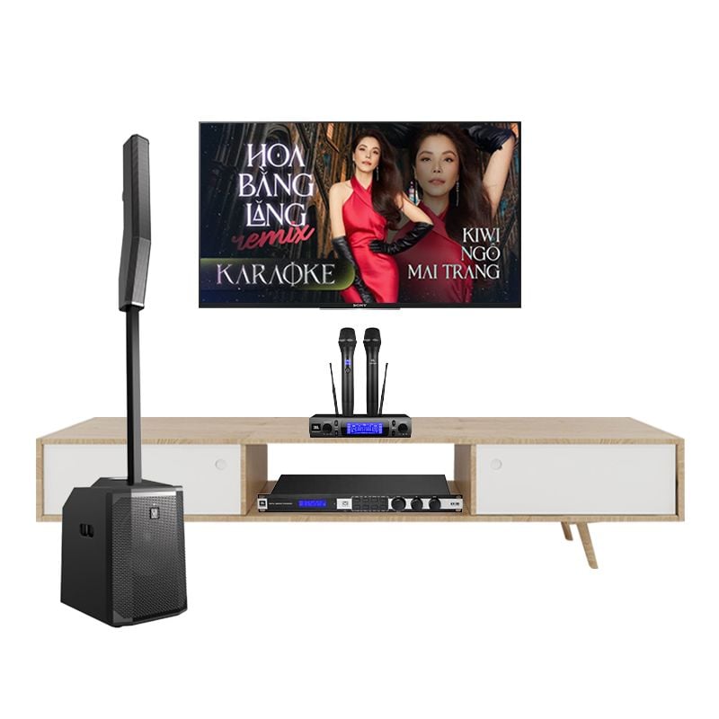 Bo-Dan-Karaoke-Electrovoice-Evolve-50-TVA1652024