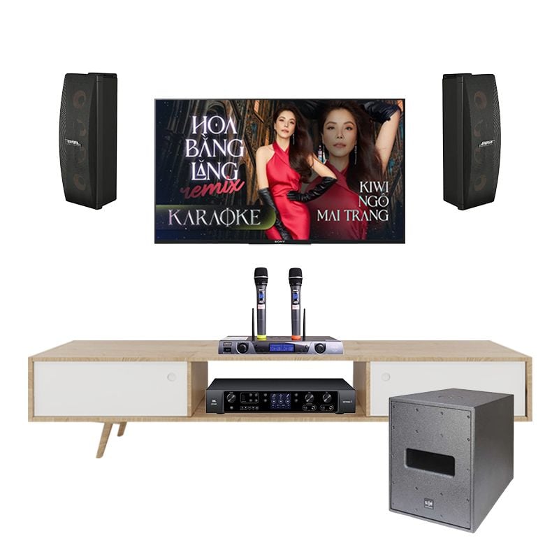 dan-karaoke-bose-402-series-5-gia-tot