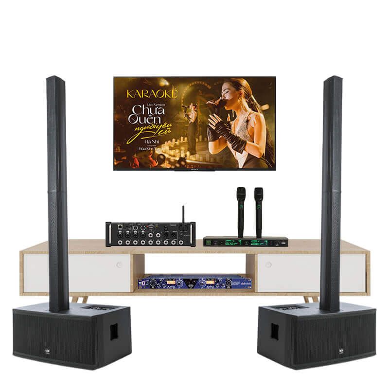Dan-Karaoke-Cao-Cap-SE-Audiotechnik-C6-TVA1412025