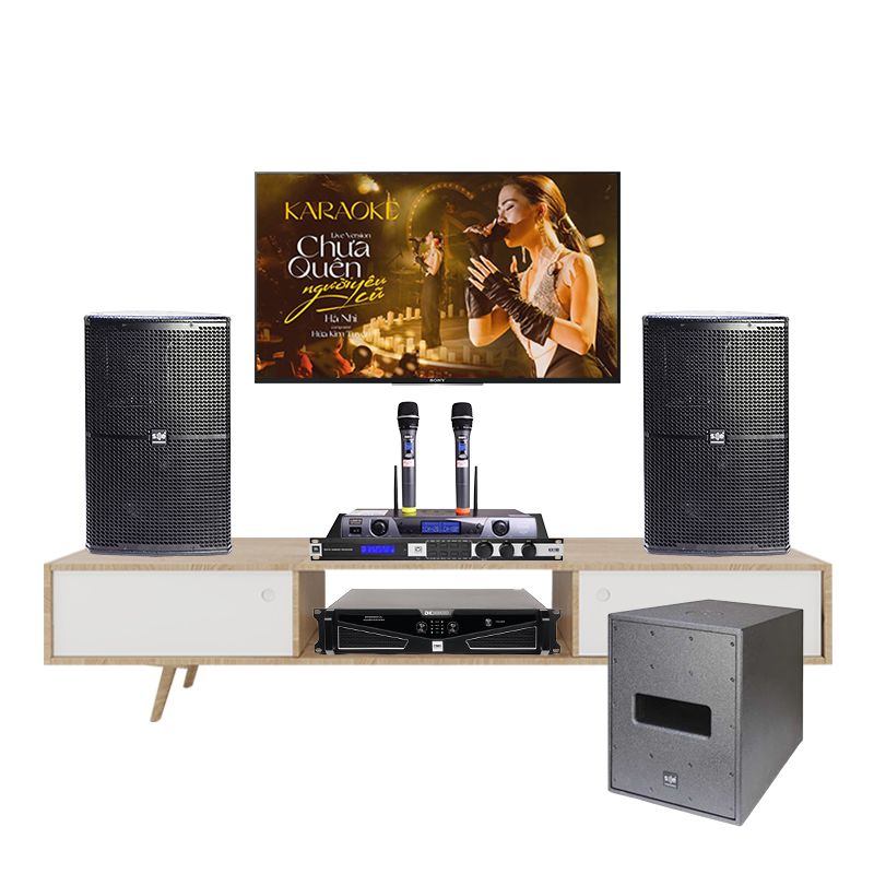 Dan-Karaoke-Cao-Cap-SE-Audiotechnik-CV12i-TVA022026