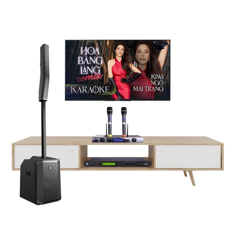Dan-Karaoke-Electrovoice-Evolve-50-TVA1732024