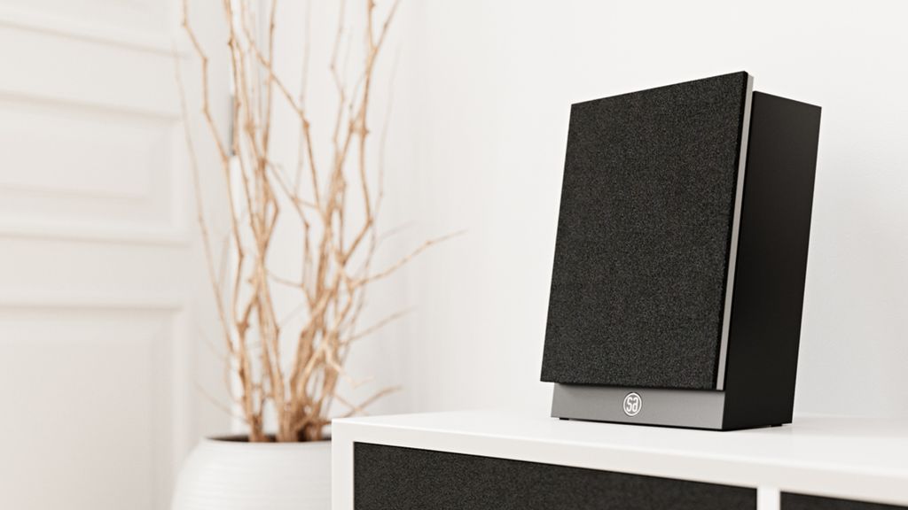 Loa-Khong-Day-System-Audio-Silverback-One-Chinh-Hang