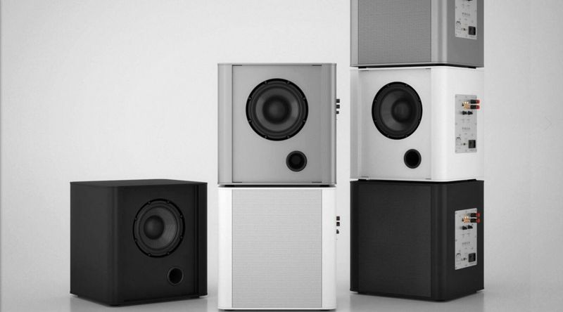 Loa-Piega-sub-PS-101-chinh-hang-gia-tot