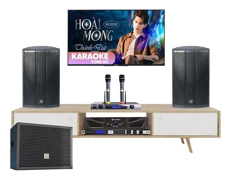 Dan-karaoke-tai-xa-Nhuan-Duc-se-audiotechnik-k15i-tva192025